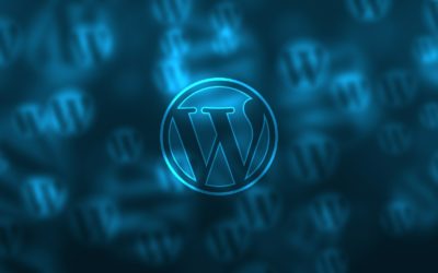 WordPress Caching ohne Plugin